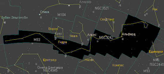 Гидра