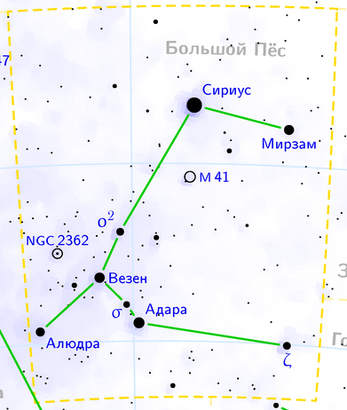 Большой пес